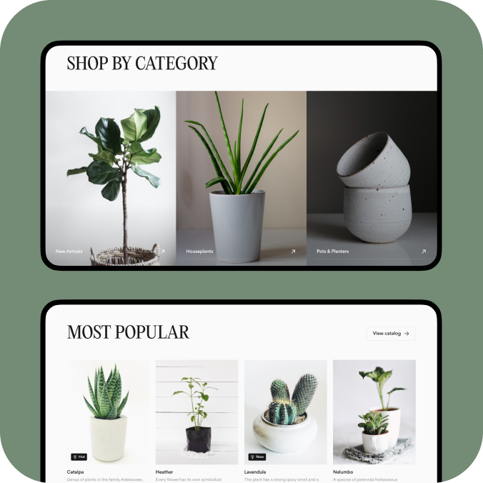 Inakono дизайн интернет-магазина категории растений